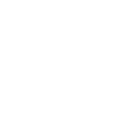 Donizetti Festival